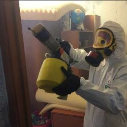 Уничтожение клопов в квартире. Темников